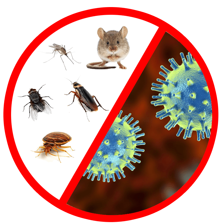 Απολύμανση εμπορικών καταστημάτων για μικρόβια covid 19 κορονοιο ποντίκια κατσαρίδες έντομα